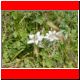 hochturm 2003_18.html